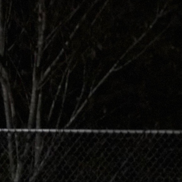 Meet your Posher, Isabella - Picture 1 of 1